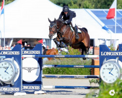 jumper Labantrix (KWPN (Royal Dutch Sporthorse), 2016, from Eldorado van de Zeshoek)