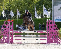 jumper Nelson (KWPN (Royal Dutch Sporthorse), 2018, from Highway Tn N.O.P.)