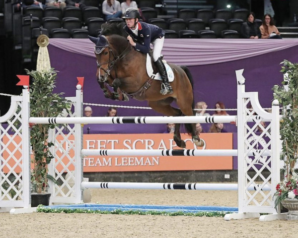 jumper True Blue (KWPN (Royal Dutch Sporthorse), 2012, from den Ham Blue R)