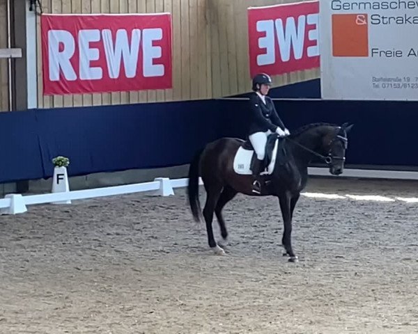 Reitturnier Weilheim/Teck 2023