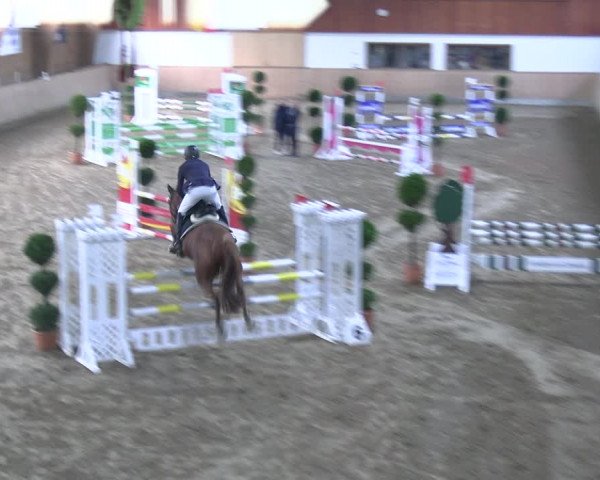 Reitturnier Hövelhof 2023