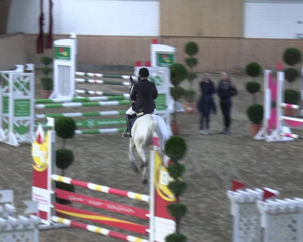 Reitturnier Hövelhof 2023