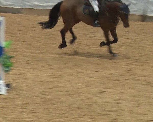 Reitturnier Kreuth 2023