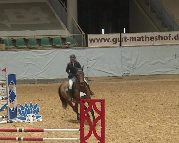Reitturnier Kreuth 2023