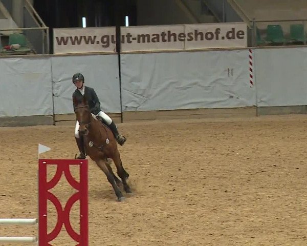 Reitturnier Kreuth 2023