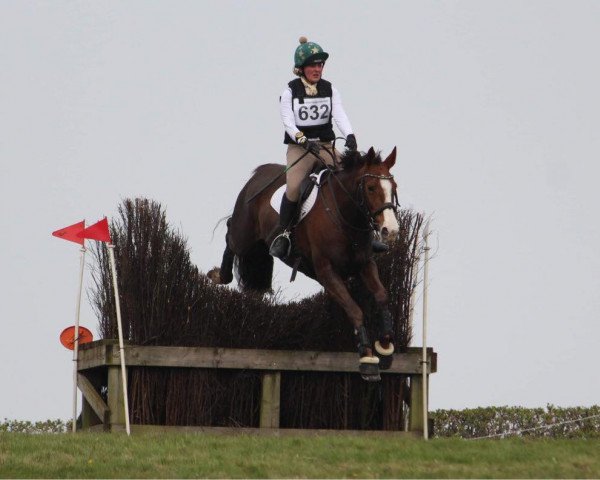 Pferd Siraxta Schurrle (Irish Sport Horse, 2016, von Singular Ls La Silla)