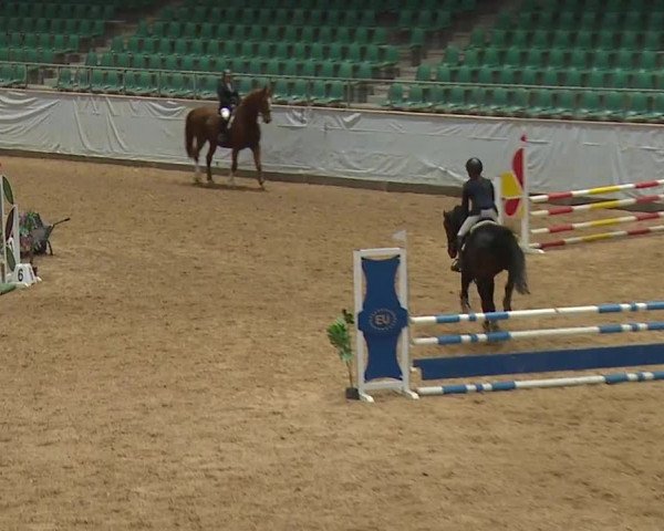 Reitturnier Kreuth 2023