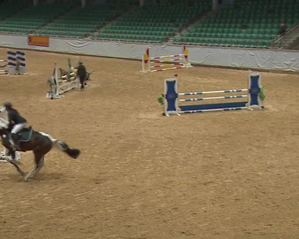 Reitturnier Kreuth 2023
