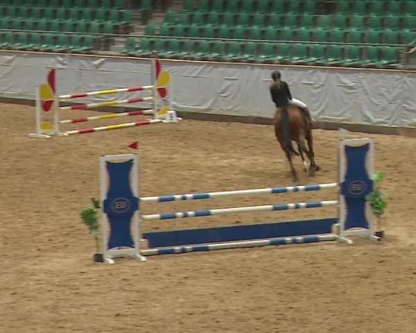 Reitturnier Kreuth 2023