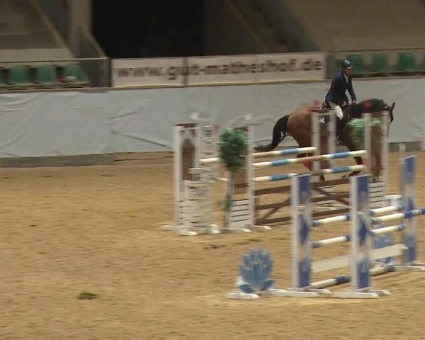 Reitturnier Kreuth 2023