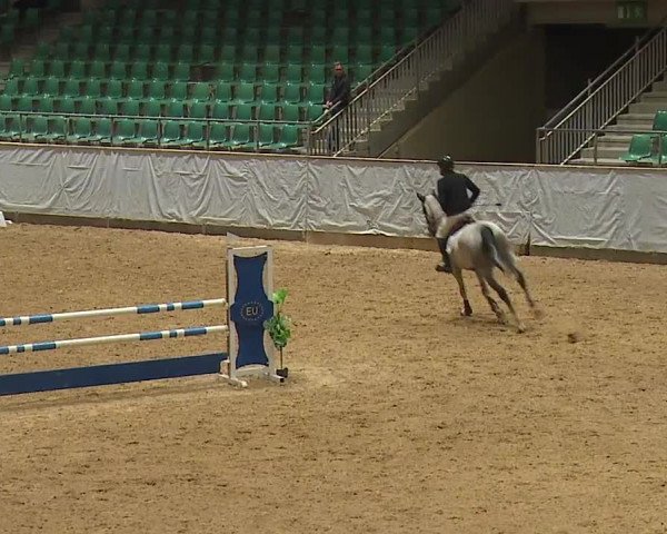 Reitturnier Kreuth 2023