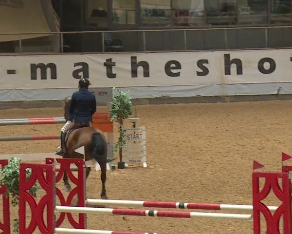 Reitturnier Kreuth 2023