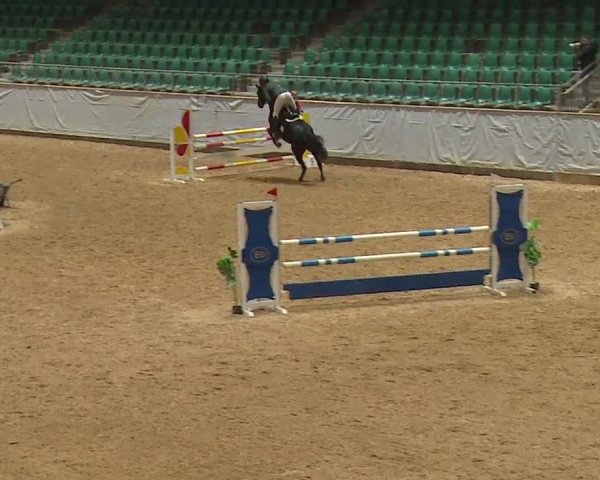 Reitturnier Kreuth 2023
