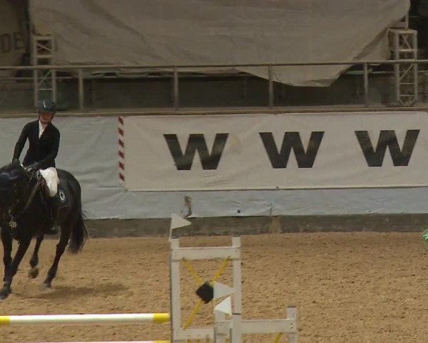 Reitturnier Kreuth 2023