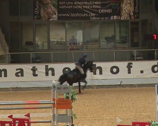 Reitturnier Kreuth 2023