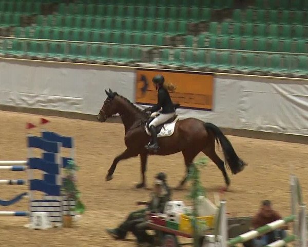Reitturnier Kreuth 2023