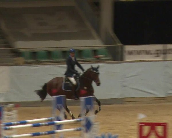Reitturnier Kreuth 2023