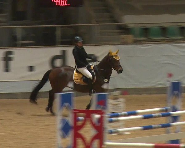 Reitturnier Kreuth 2023