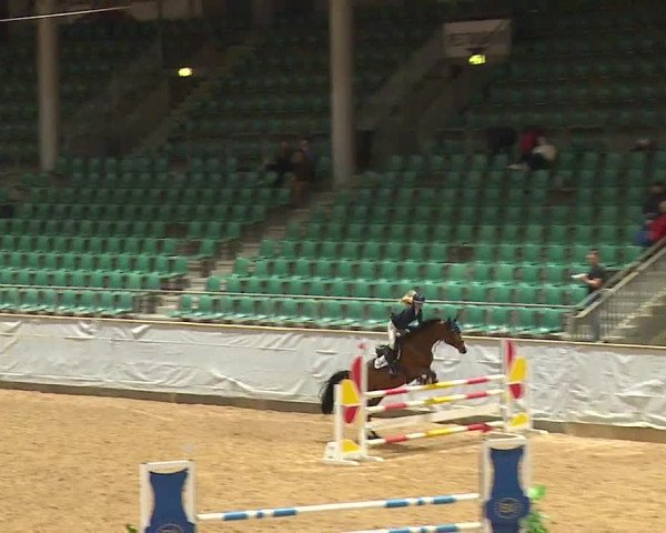 Reitturnier Kreuth 2023
