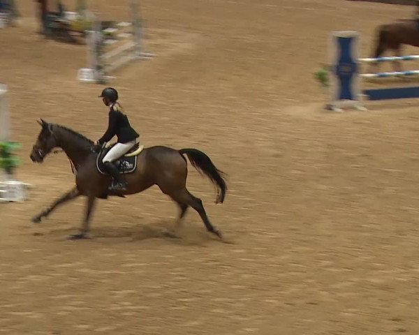 Reitturnier Kreuth 2023