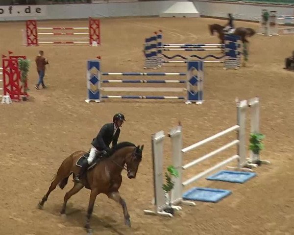 Reitturnier Kreuth 2023