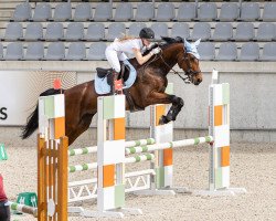 jumper Pmh Giordesse (Westphalian, 2016, from De Quidam)