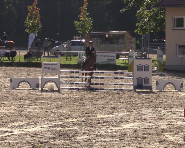 Reitturnier Lgl.-Oberhain, B95 2021