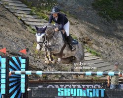 jumper Lord S (Belgian Warmblood, 2011, from Der Senaat 111)