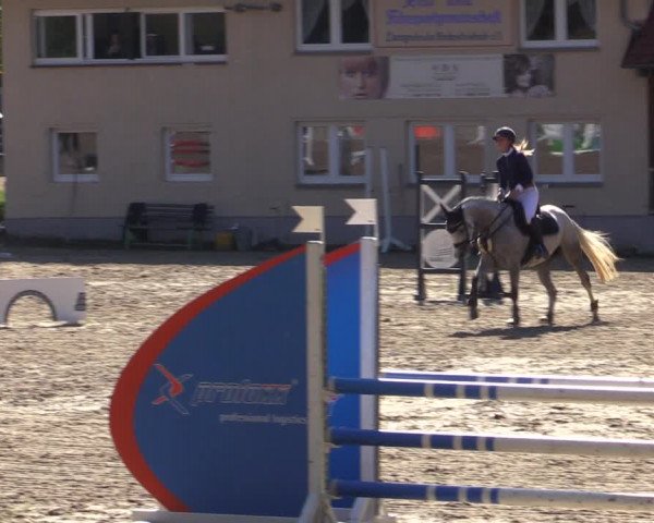 Reitturnier Lgl.-Oberhain, B95 2021