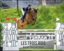 jumper Hotaowa de La Tourelle (Belgian Warmblood, 2013, from Centurio 22)