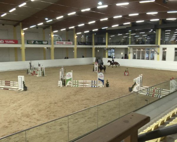 Springturnier Stadl Paura 2023