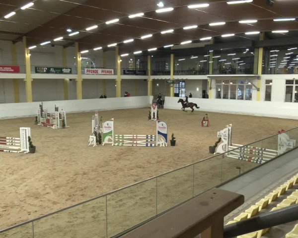 Springturnier Stadl Paura 2023