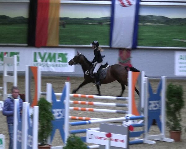 Reitturnier Legden | Ponyturnier 2023
