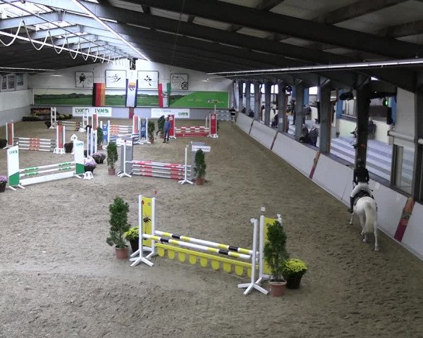 Reitturnier Legden | Ponyturnier 2023