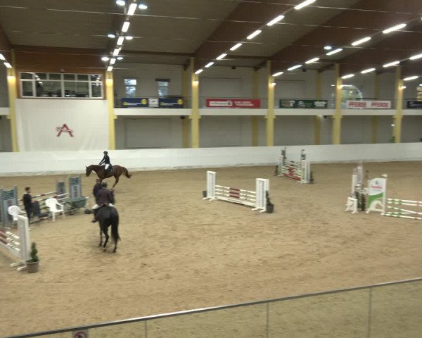 Springturnier Stadl Paura 2023