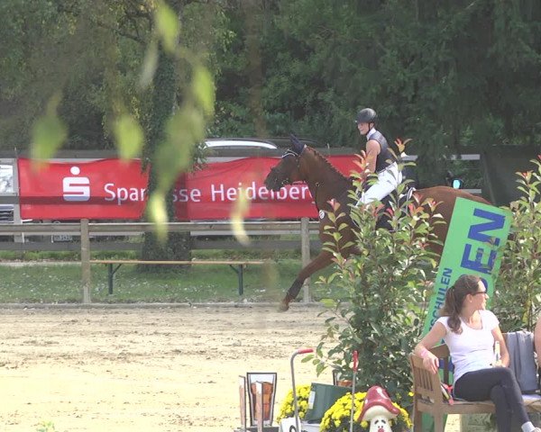 Springturnier Walldorf/Winterheck 2021