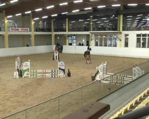 Springturnier Stadl Paura 2023