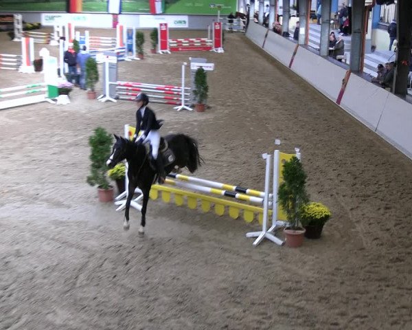 Reitturnier Legden | Ponyturnier 2023