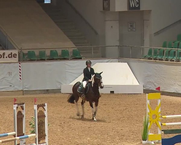 Reitturnier Kreuth 2023