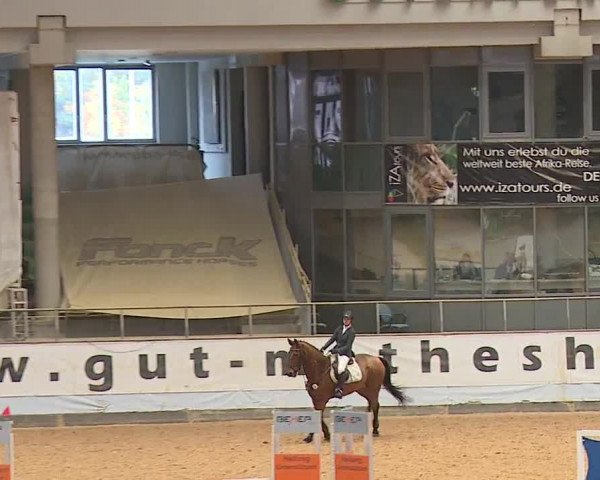 Reitturnier Kreuth 2023