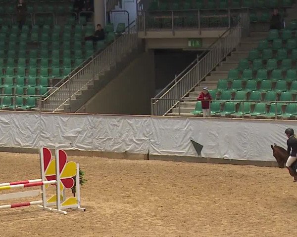 Reitturnier Kreuth 2023