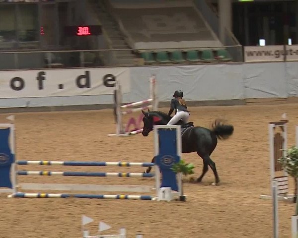 Reitturnier Kreuth 2023