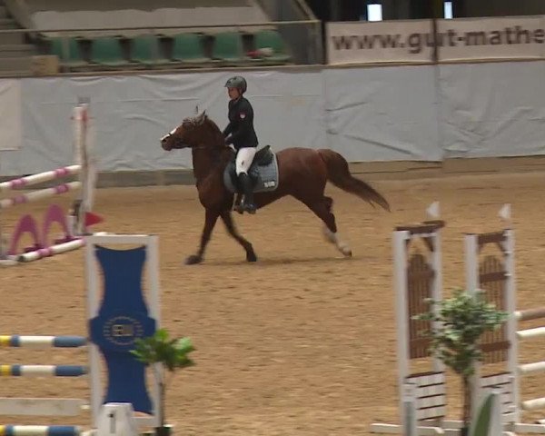 Reitturnier Kreuth 2023