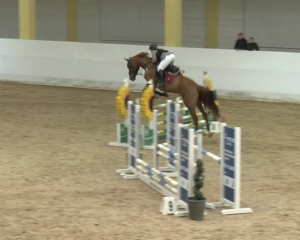 Springturnier Stadl Paura 2023