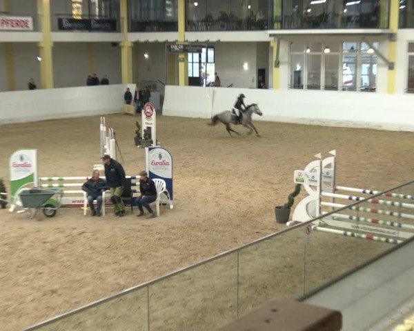 Springturnier Stadl Paura 2023
