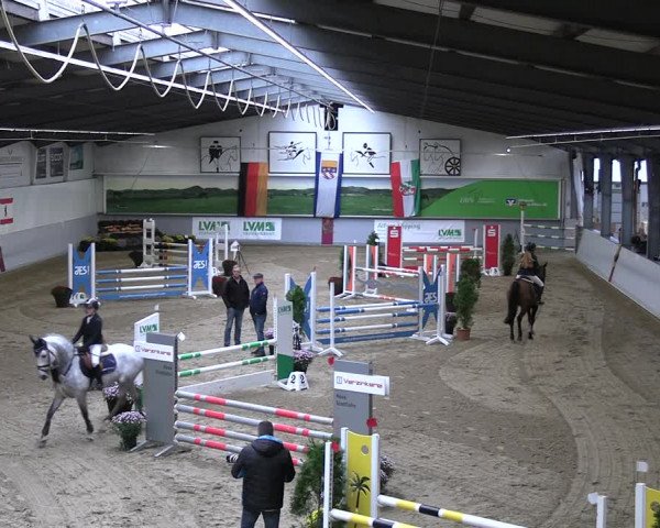 Reitturnier Legden | Ponyturnier 2023