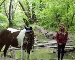 horse Farinde (unknown, 2003)