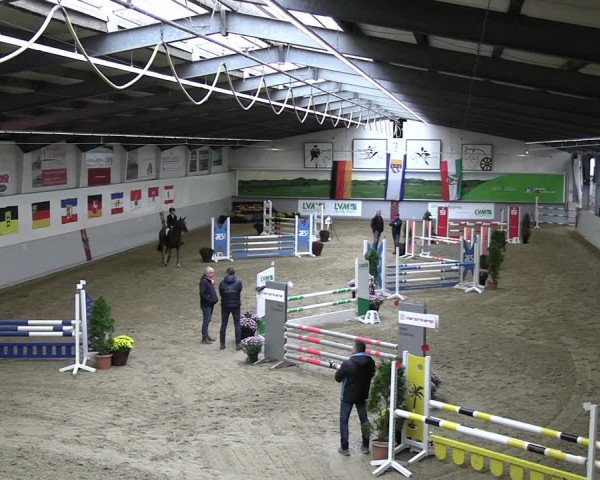 Reitturnier Legden | Ponyturnier 2023