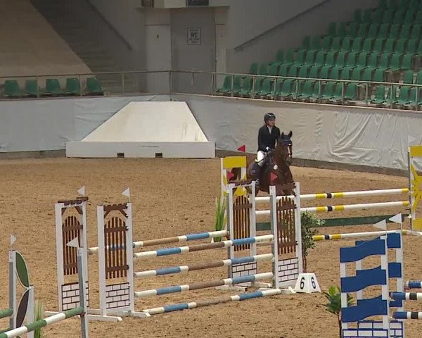 Reitturnier Kreuth 2023