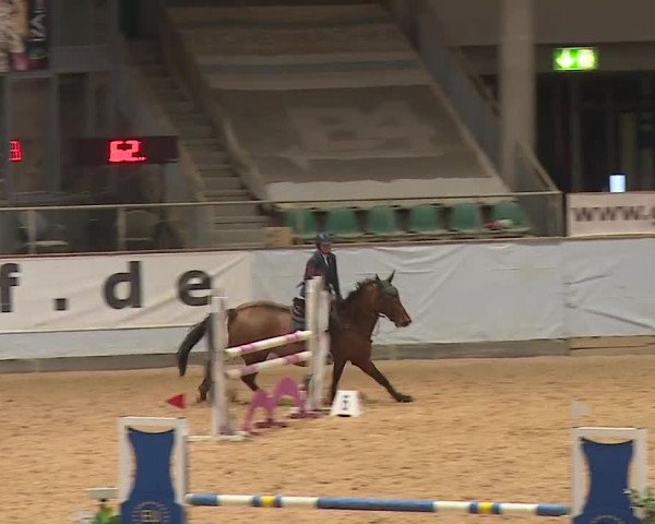 Reitturnier Kreuth 2023